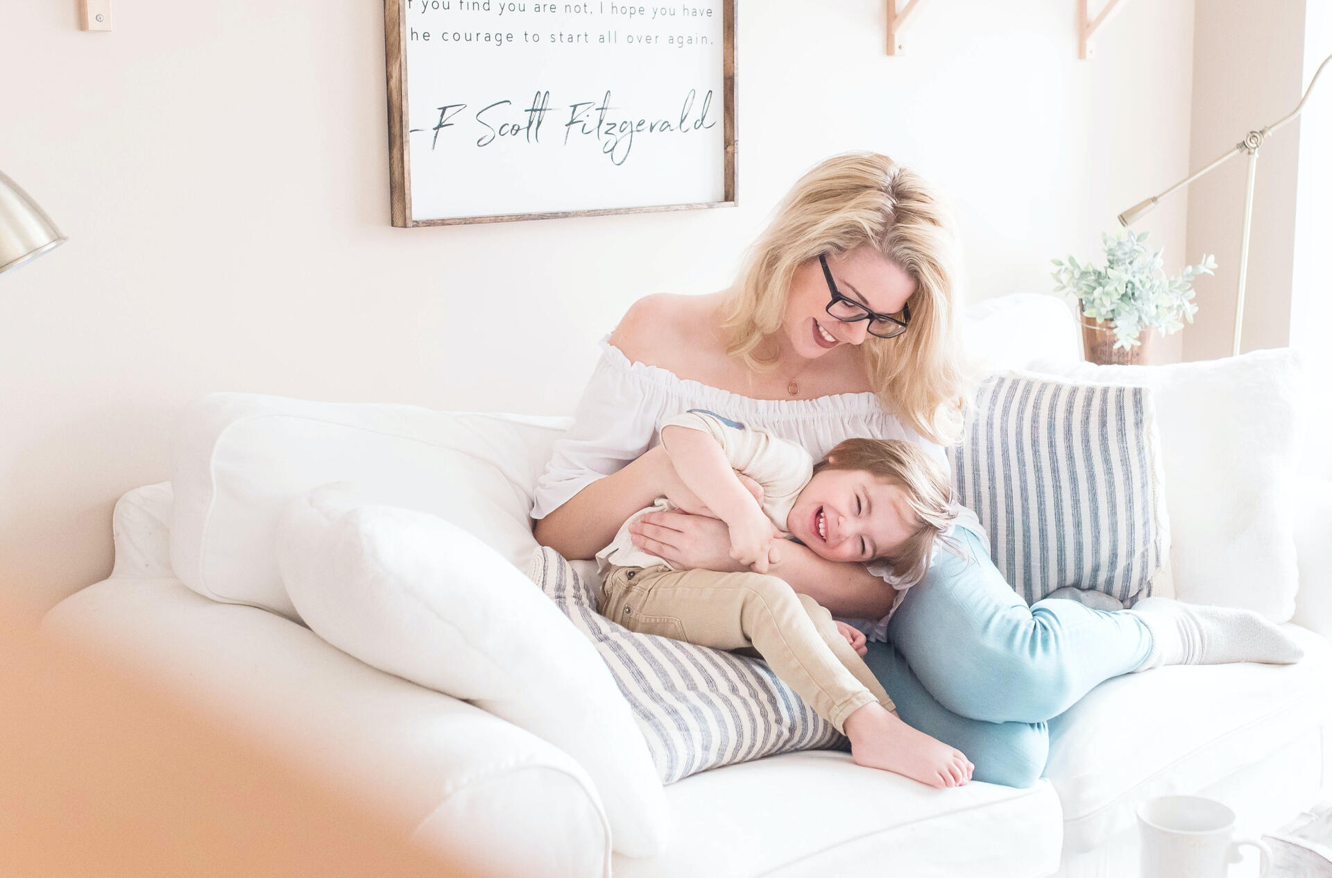 Bed Bug Pest Control Edmonton